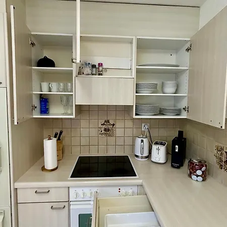 Simple With Essentials Apartment Zurich